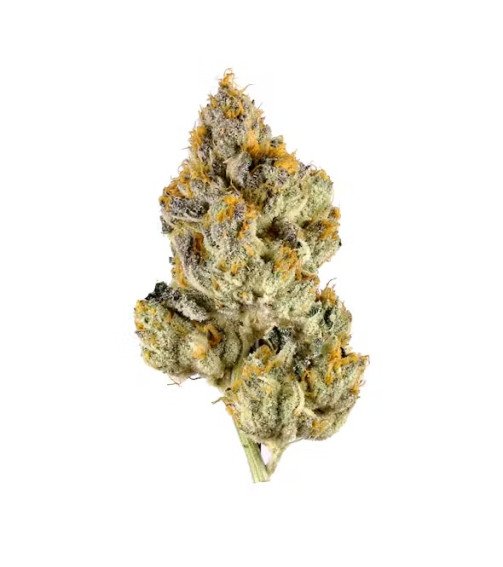 Lemon Cherry Gelato 
