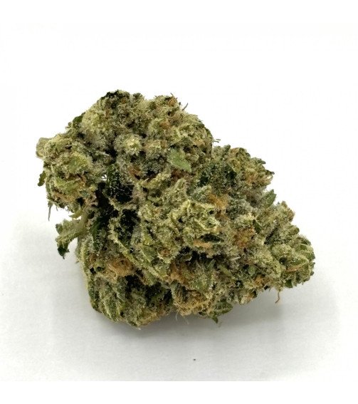 OG Kush